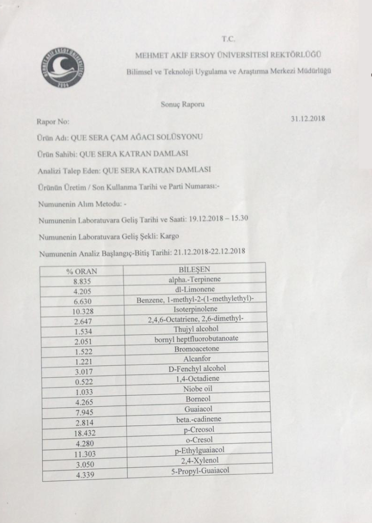 Üniversite Test Sonuç Raporumuz